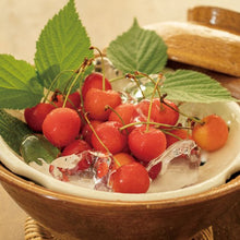 画像をギャラリービューアに読み込む, 蒸し小鍋(アメ・キャラメル・どんぐり)